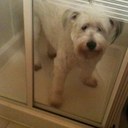 Patsy Bartlett - @PatsyBah - Twitter