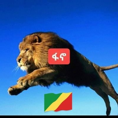 Embat2050116's profile picture. 