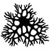 Baum Lab (@dbaum_lab) Twitter profile photo Baum Lab (@dbaum_lab) Twitter profile photo