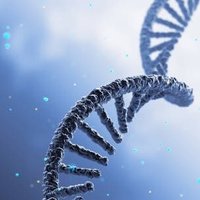 Hautbergue Lab (@rnabiolab) 's Twitter Profile