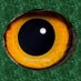𝕆𝕛𝕠 𝕒𝕝 𝕕𝕒𝕥𝕠 ®️👀 (@jpalomares90) Twitter profile photo 𝕆𝕛𝕠 𝕒𝕝 𝕕𝕒𝕥𝕠 ®️👀 (@jpalomares90) Twitter profile photo