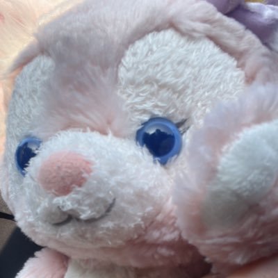 イカちゃんさんのプロフィール画像