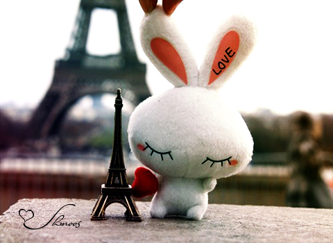 nourtweets's profile picture. an easy-going female who like Gaming ( PS fan ) and watching (Anime/Korean/American  tv-shows/movies drama)
profile header courtesy from @NazDraws