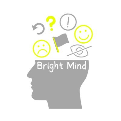 'Bright Mind' is a mobile application that aims to provide students with the opportunity to communicate with a teacher confidently during a lesson.