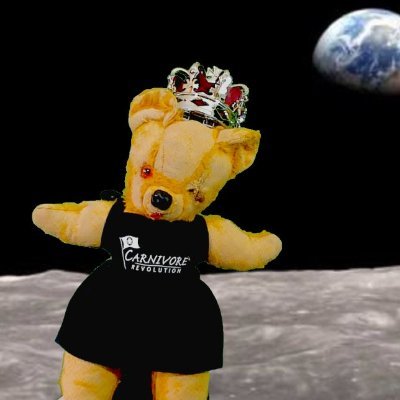 I am a small yellow Teddy bear who mysteriously knows a lot about human health science. Argue with me at your peril.