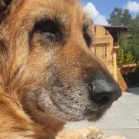 Pete 🖖 (@pirate_pete_) 's Twitter Profile