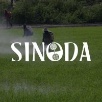 SINODA S.U.R.L. (@sinodasurl) 's Twitter Profile