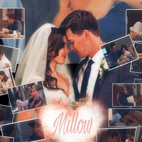 Team Millow ❤(@WithMillow) 's Twitter Profile Photo
