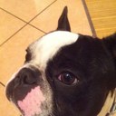 Anna Femia - @Annina351 - Twitter