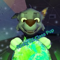 Rocky RE Class Pup (@pascal_rocky24) 's Twitter Profile