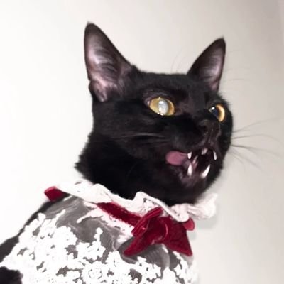 JTZさんのプロフィール画像