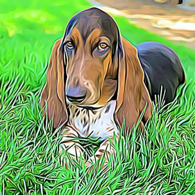 KaryHubbar73867's profile picture. 