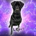 Lightning (@lyghtningfn) Twitter profile photo Lightning (@lyghtningfn) Twitter profile photo