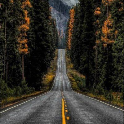 MaM048062198729's profile picture. 