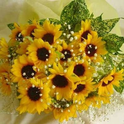 karupise's profile picture. 2018年からDA PUMP💞
洋ちゃんとTEAM NACS💞
中村倫也くんの舞台好き💕
SnowManさんは３年目突入🖤⛄💕
星野源くん☺️今年はLIVE嬉しいね！
平山晃哉さんもお元気そう☺️
角松敏生さんのLIVEに感動！
ライブ舞台鑑賞映画鑑賞が大好き🎥