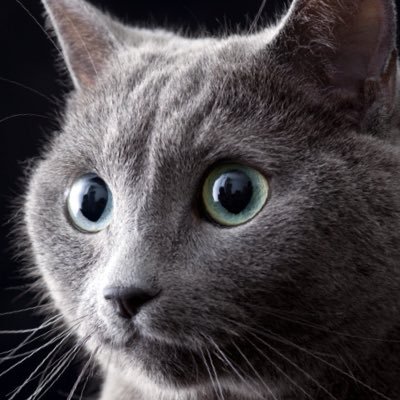 hexiaotong111's profile picture. 