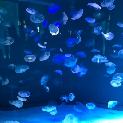 suga93_a's profile picture. 