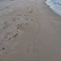 Tran Phong Chau ❤️ Memecoin (@tranphongc5033) 's Twitter Profile