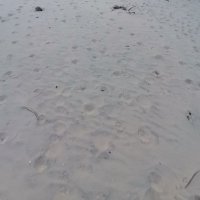 Tran Duc Quang ❤️ Memecoin (@tranduc55786794) 's Twitter Profile