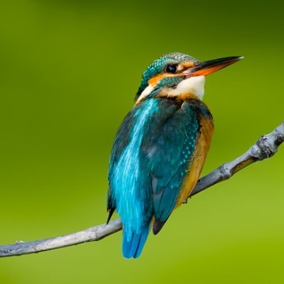 makiv9090's profile picture. счастливый день
