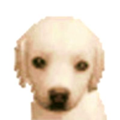 Lee G.さんのプロフィール画像