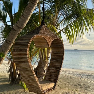 lawjean's profile picture. 