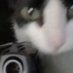 yebo:D (@yebovl) Twitter profile photo yebo:D (@yebovl) Twitter profile photo