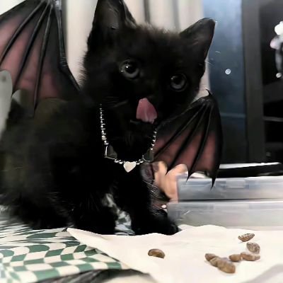 kk_kk_kk_404's profile picture. 