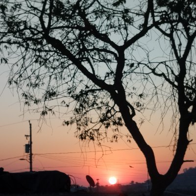 DiegoBallen10's profile picture. 18 años México