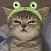 boi (@mymiladys) 's Twitter Profile