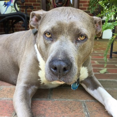 ldm82821696's profile picture. 