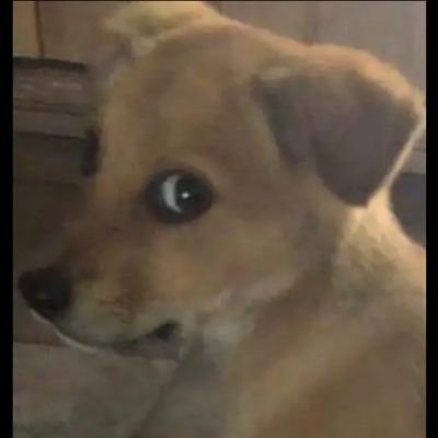 Dnay123's profile picture. Chico colombiano - Bisexual