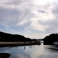 キツネザル (@zc0sxxetzowuphi) 's Twitter Profile