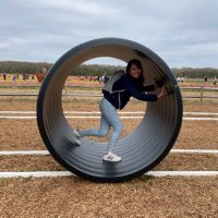 Lisa (@techteachernyc) 's Twitter Profile