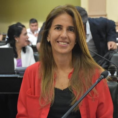 Abogada, política,
diputada provincial, consejera en Magistratura de Salta