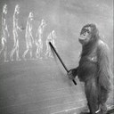 Alan Bernales - @Lamparimpam - Twitter