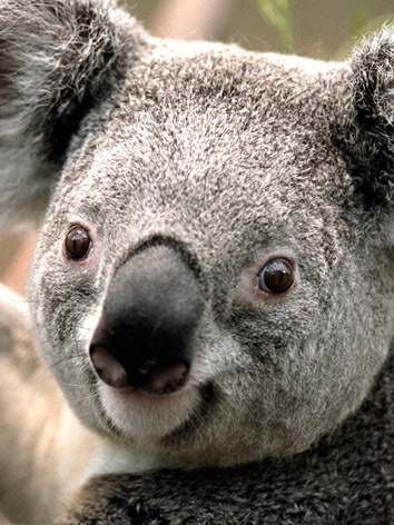 cristianernande's profile picture. 