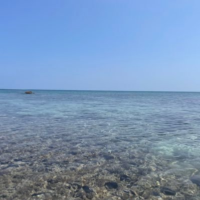 のりのり (@9fsi83zJY8xcRvp) / Posts / X