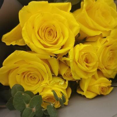 ‏‏‏‏‏دع الأيام تفعل ما تشاء     وطب نفس إذا حكم القضاء
ولا تجزع لحادثة الليالي    فما لحوادث الدنيا بقاء