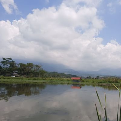 NoviKur77569131's profile picture. 