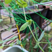 キム (@2aitealfqm45wlg) Twitter profile photo