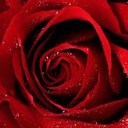 nery roman - @roman_nery - Twitter