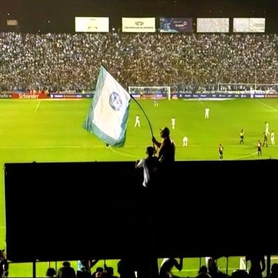 TE VI JUGAR COPA LIBERTADORES