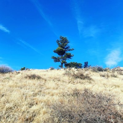 AresAlaster's profile picture. Free Thinking American. Preferred Pronoun - Ultra MAGA King