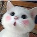 雌堕南梁-蔡滚滚(互fo版) (@misjian) Twitter profile photo 雌堕南梁-蔡滚滚(互fo版) (@misjian) Twitter profile photo
