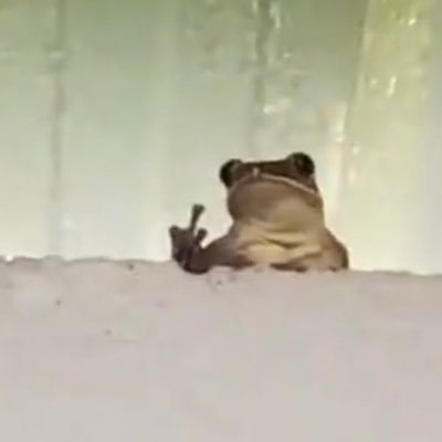 off_madrinski's profile picture. The colorimetrist