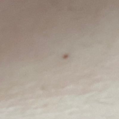 IMSAD_butNP's profile picture. 