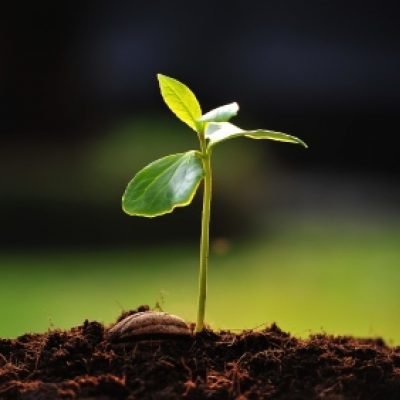 SubhashinieK's profile picture. :)