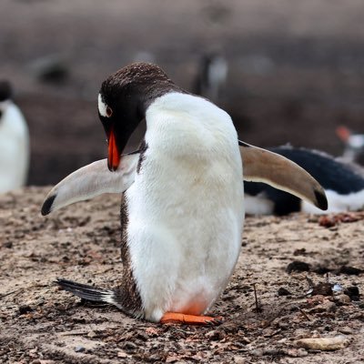 ゆったり自然に生きたいと思います。身近な自然に目を向けたり、趣味の野鳥観察や樹木観察をしたりしながら、気づいたことを発信していきます。 旅好き写真好き📷 軽自動車の旅 🚙 元輪行ランドナー乗り🚴‍♂️ 野鳥撮影338種(国内)🦆 星景写真チャレンジ中🌃 鉄道好き🚃 美味しいものも好き🍙