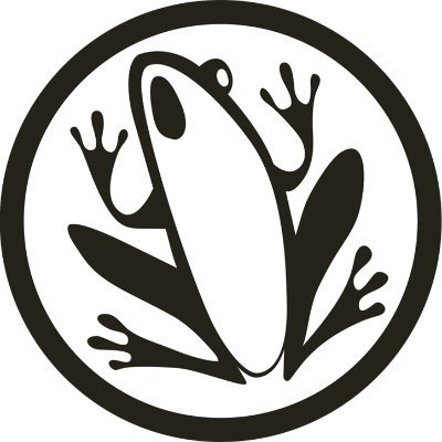 Frogwares Profile Picture